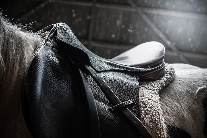 Saddle Up in Style: The Ultimate Guide to Riding Apparel Trends